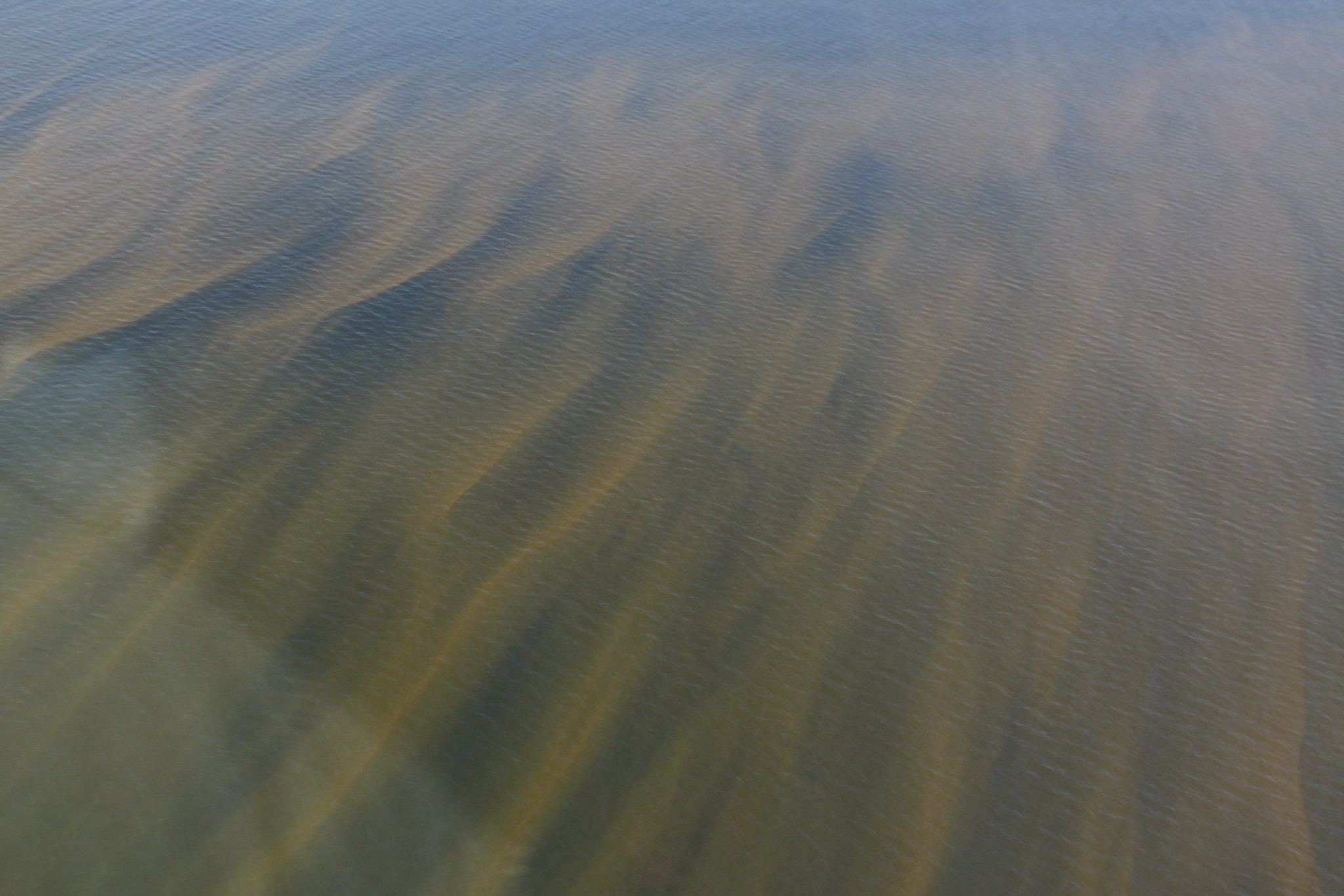 FWC Aerial survey for red tide shows streaks of discoloration.