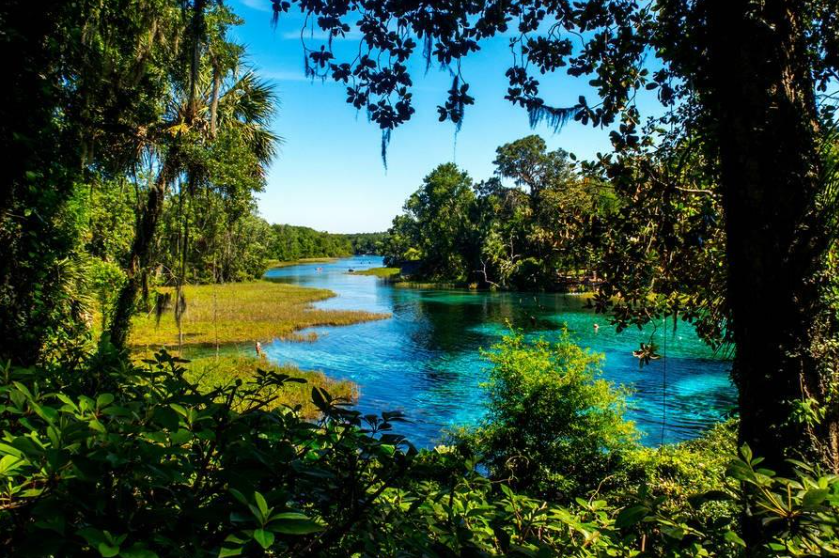 FLORIDA'S ICONIC SPRINGS