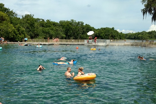 People swimming in DeLeon Springs