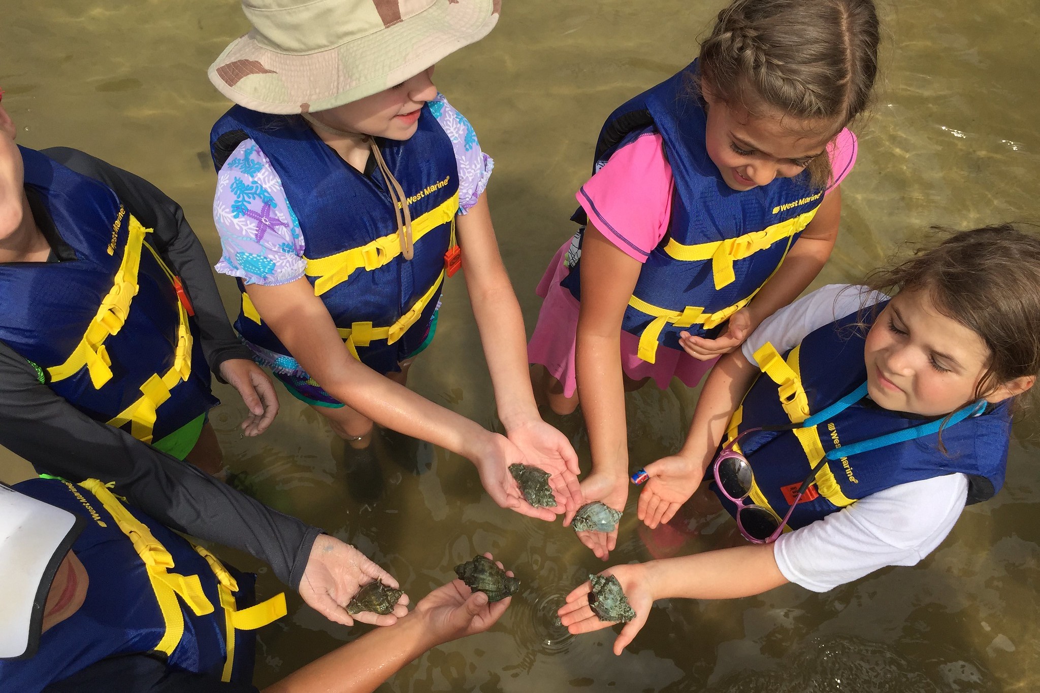 After some paddling, the youth stretched their legs on a nearby intertidal mudflat and found crown conchs galore! Crown conchs are a marine gastropod in the genus of sea snails. They have prominent spines on their whorl resembling a crown, giving the snail its common name.