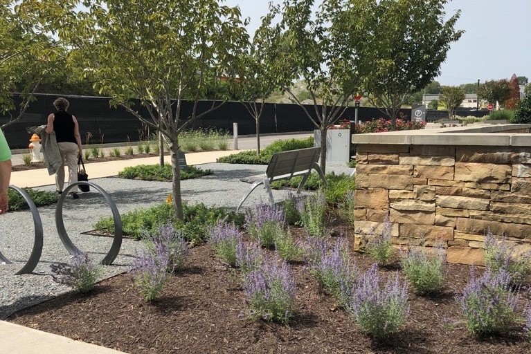 Image of mulched flowerbed and pervious pavement.