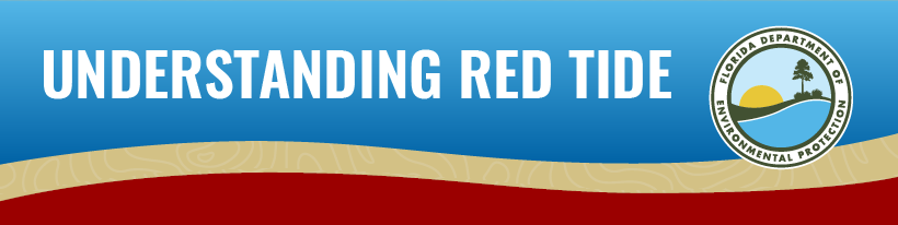 Understanding Red Tide Info-graphic thumbnail