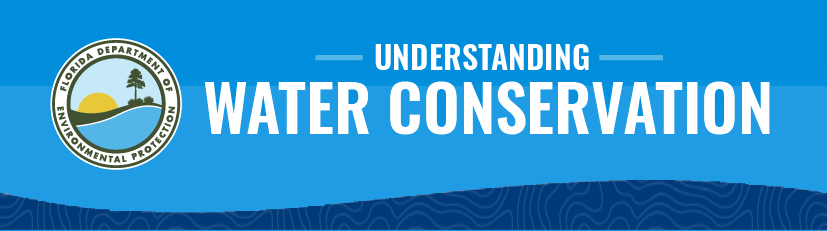 Understanding Water Conservation Infographic Thumbnail