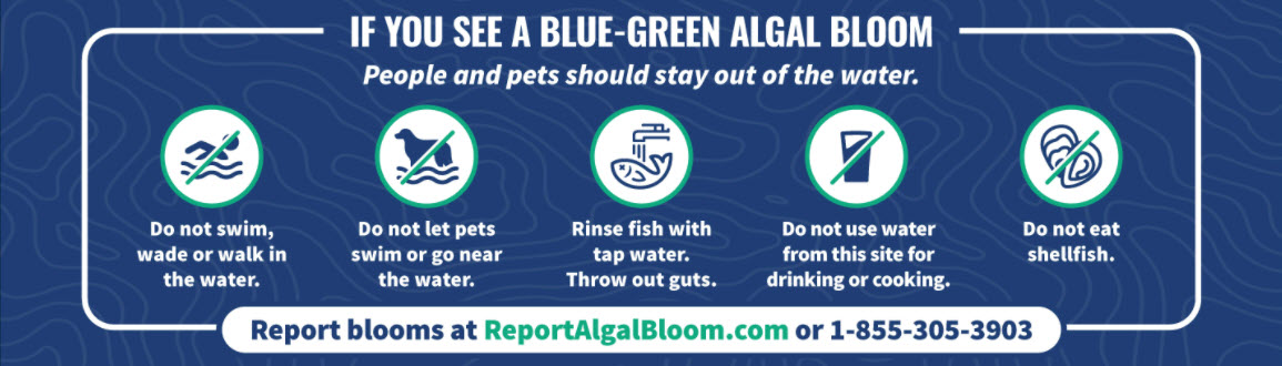 If you see a bloom, people and pets should stay out of the water. Report blooms at ReportAlgalBloom.com