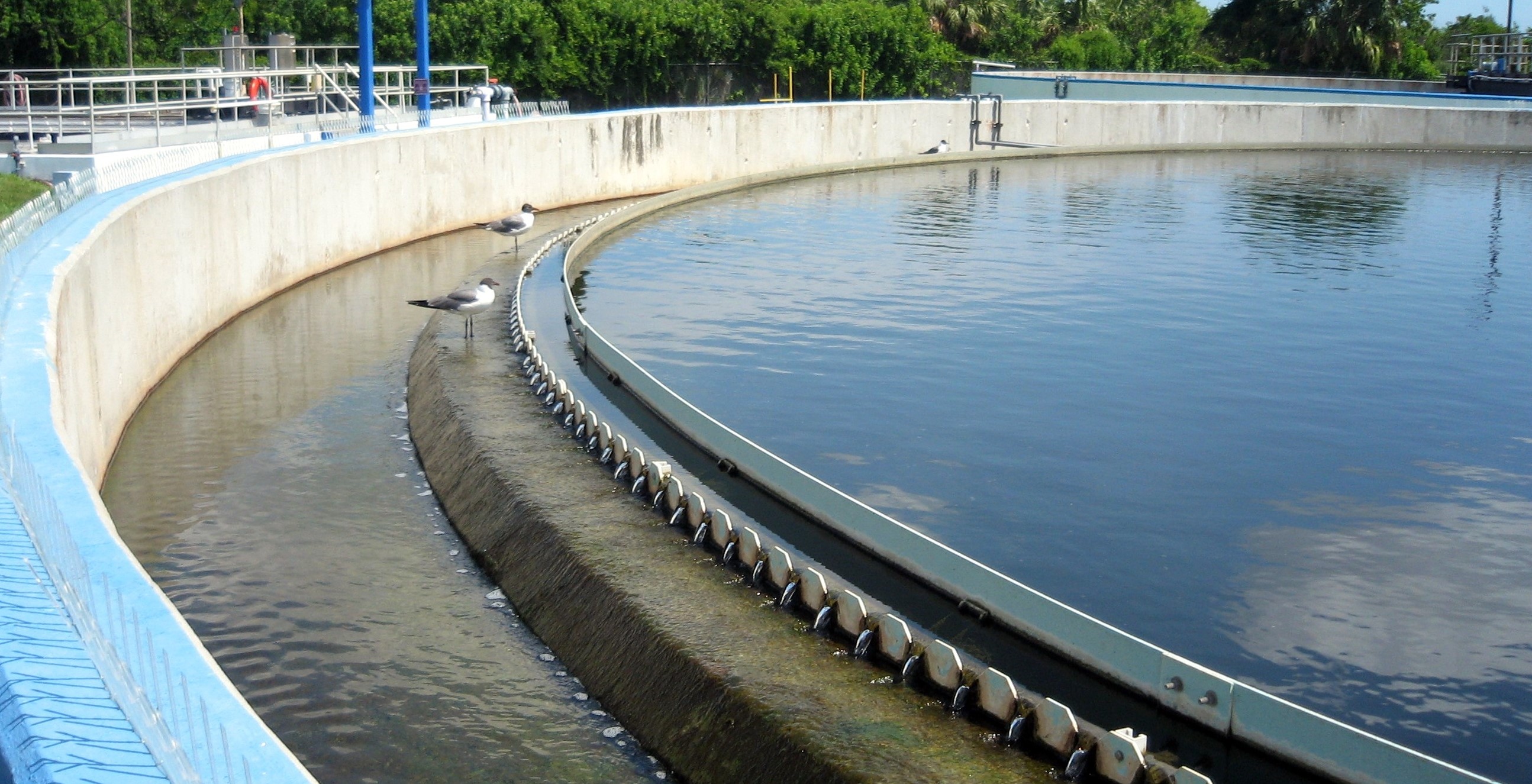 Photo of a water cascading over the weir of a clarifier. Two seagulls are perched in the weir.
