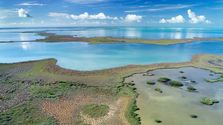 aerial view of the everglades