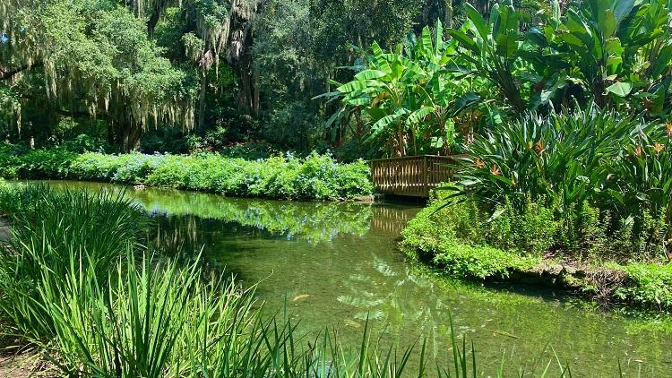 Van Gough Gardens