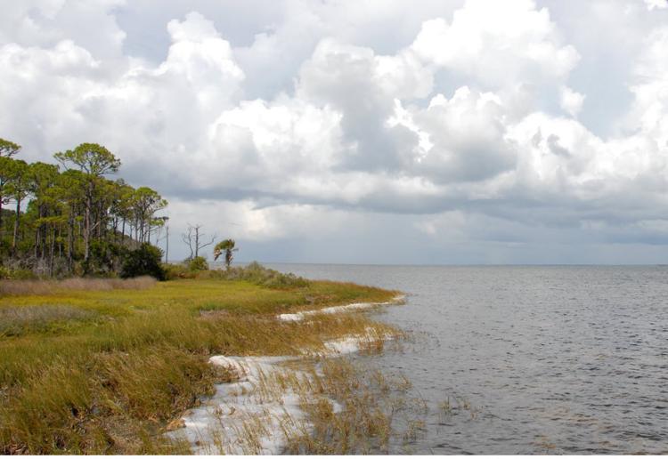 Deal tract
