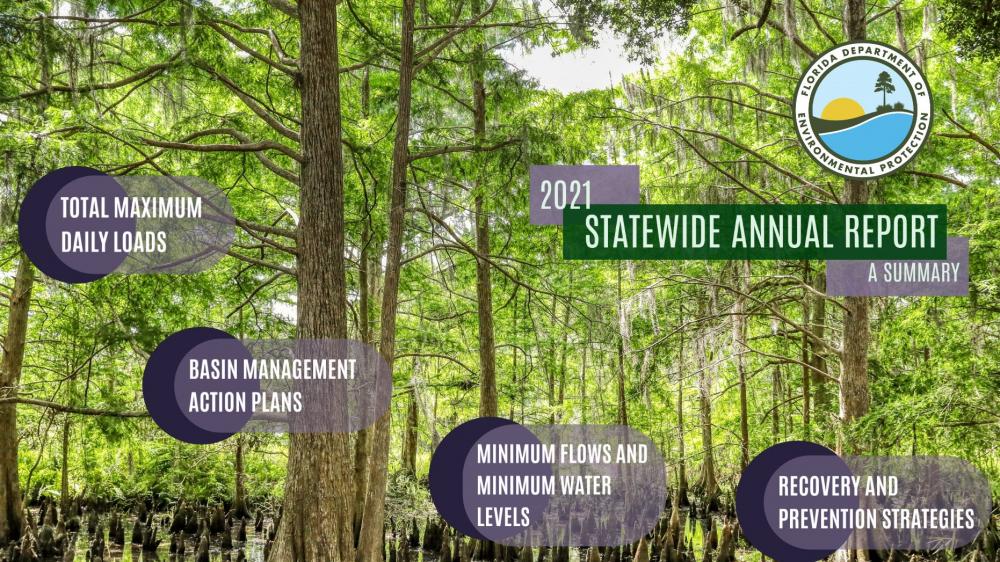Statewide Annual Report Cover Page for 2021