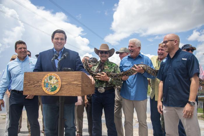 Python Removal Efforts To Protect The Greater Everglades